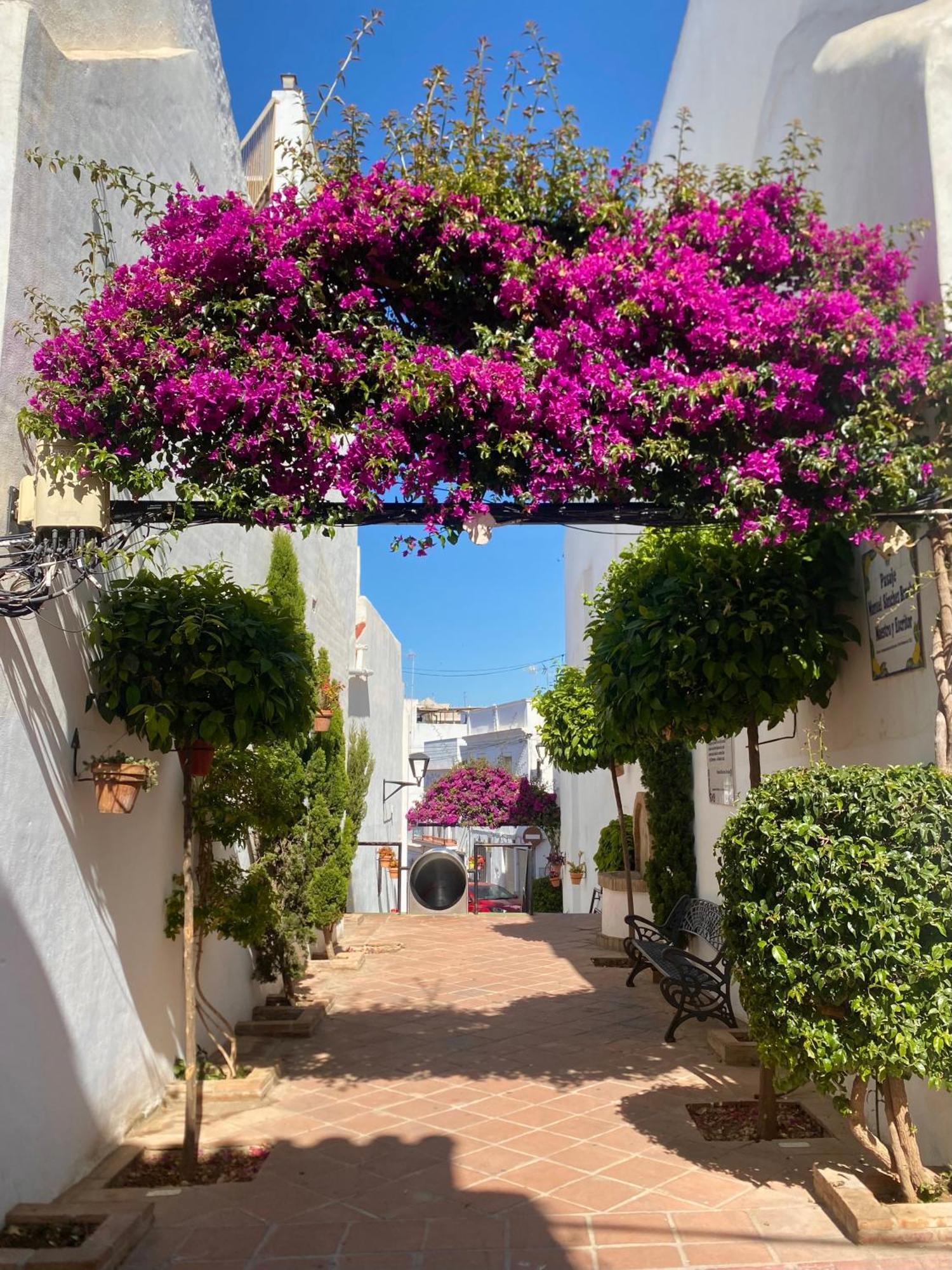 Portada * Estepona